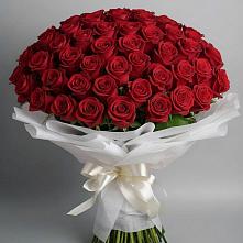 Букет 101 Красная роза Блэк Мэджик в Макарово