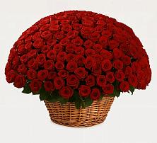 Премиум букет из: Розы в Макарово